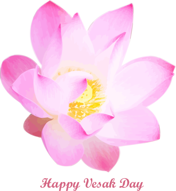 Transparent Vesak Petal Flower Pink for Buddha Day for Vesak