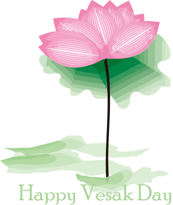 Transparent Vesak Flower Plant Leaf for Buddha Day for Vesak