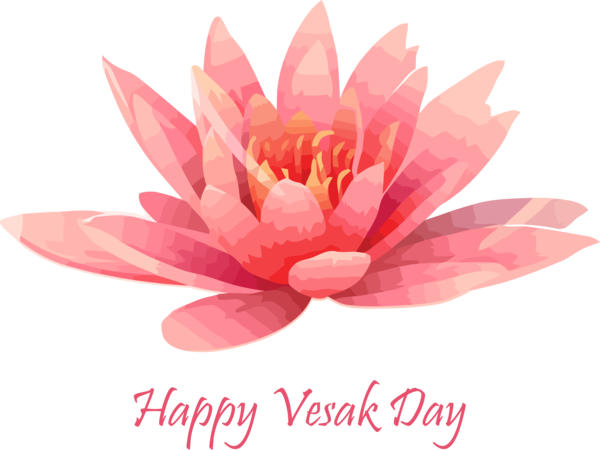 Transparent Vesak Pink Aquatic plant Lotus family for Buddha Day for Vesak