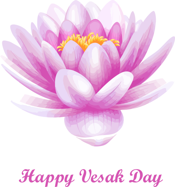 Transparent Vesak Petal Pink Flower for Buddha Day for Vesak
