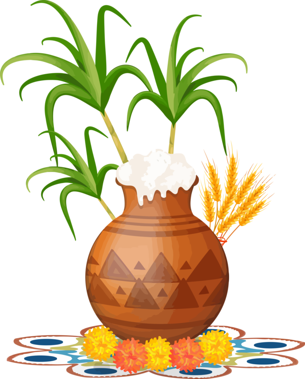 Transparent Pongal Ananas Plant Pineapple for Thai Pongal for Pongal