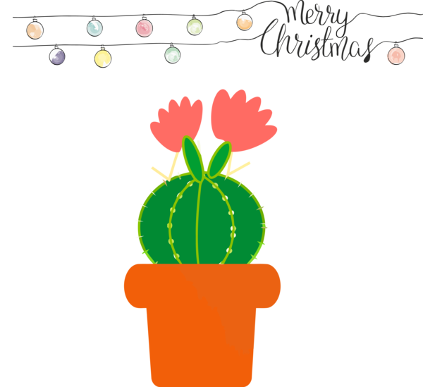 Transparent Christmas Cactus Flowerpot Plant for Merry Christmas for Christmas