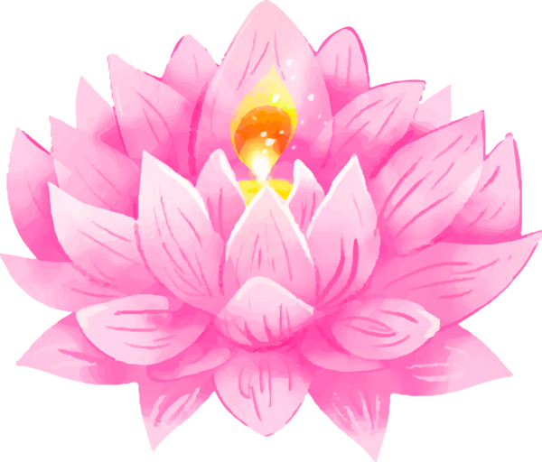 Transparent Bodhi Day Petal Lotus family Aquatic plant for Bodhi Lotus for Bodhi Day