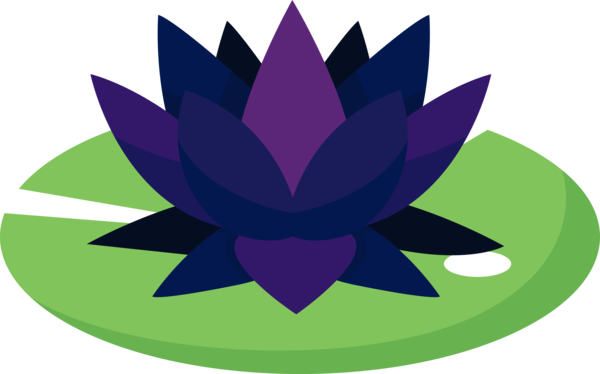 Transparent Bodhi Day Purple Violet Lotus family for Bodhi Lotus for Bodhi Day