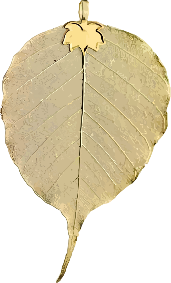 Transparent Bodhi Day Leaf Plant Plane for Bodhi Leaf for Bodhi Day