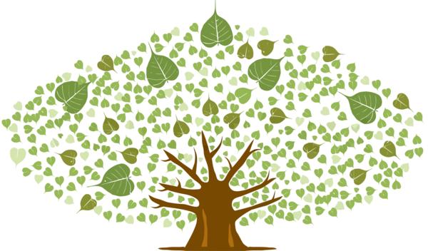 Transparent Bodhi Day Green Leaf Tree for Bodhi Leaf for Bodhi Day
