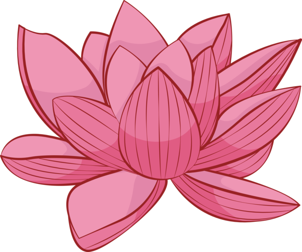 Transparent Bodhi Day Lotus family Lotus Petal for Bodhi Lotus for Bodhi Day