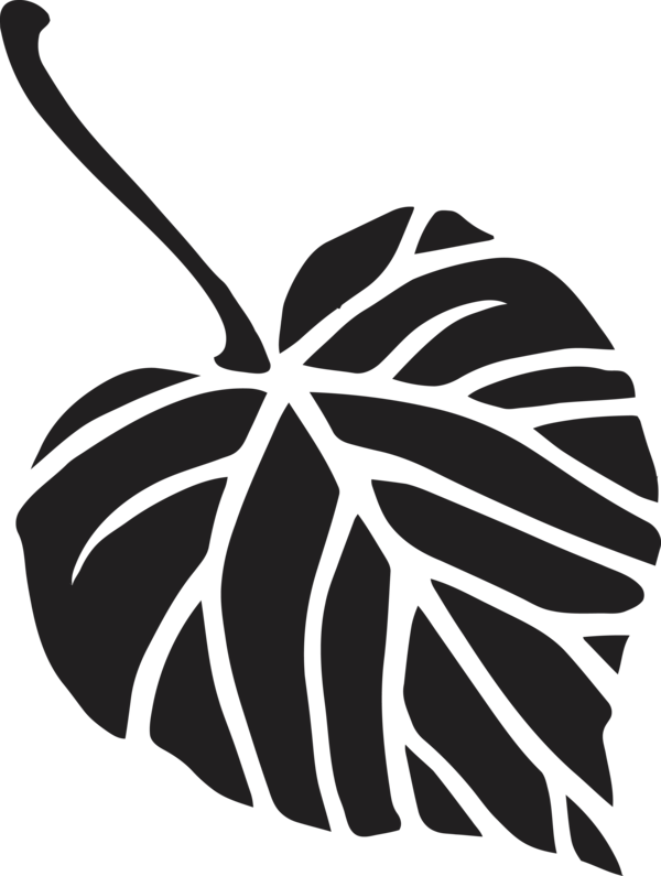 Transparent Bodhi Day Leaf Black-and-white Plant for Bodhi Leaf for Bodhi Day