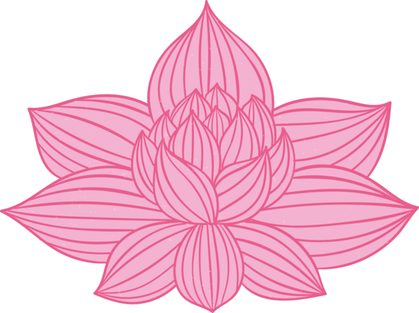 Transparent Bodhi Day Lotus family Pink Aquatic plant for Bodhi Lotus for Bodhi Day