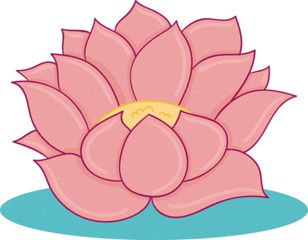 Transparent Bodhi Day Pink Lotus family Aquatic plant for Bodhi Lotus for Bodhi Day