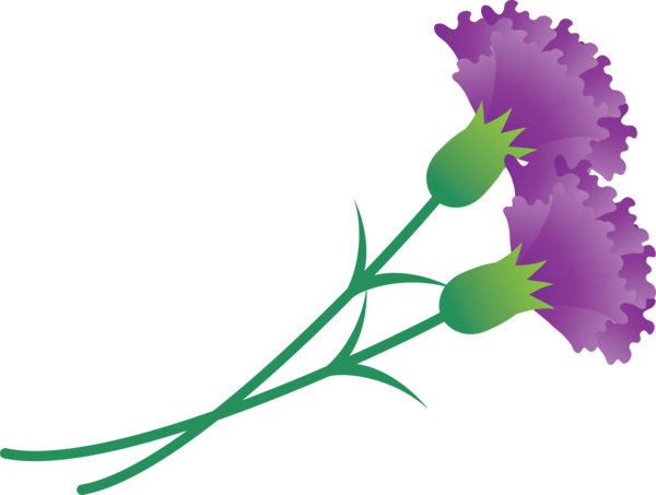 Transparent Mother's Day Flower Plant Pedicel for Mother's Day Flower for Mothers Day