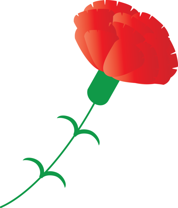 Transparent Mother's Day Red Flower Pedicel for Mother's Day Flower for Mothers Day