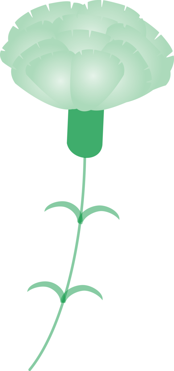 Transparent Mother's Day Green Leaf Plant for Mother's Day Flower for Mothers Day