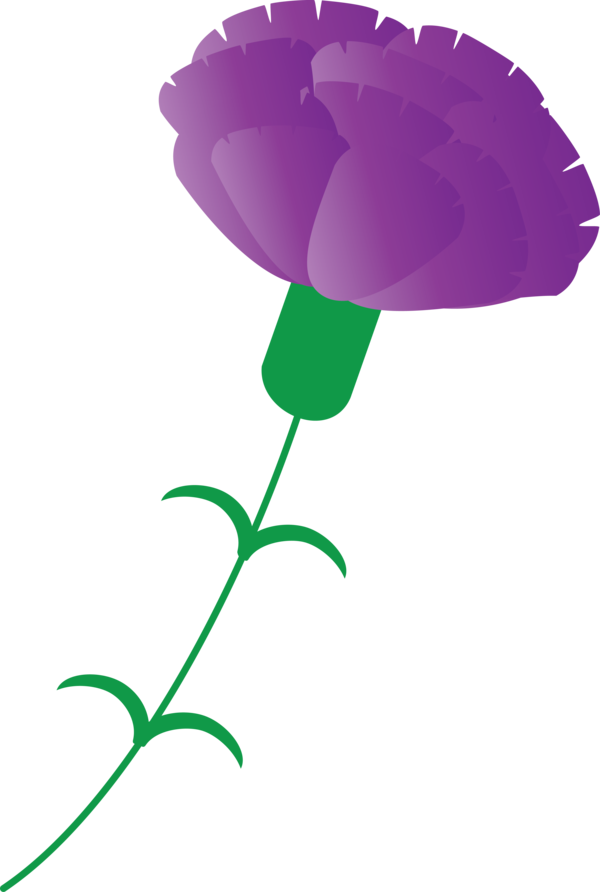 Transparent Mother's Day Purple Violet Plant for Mother's Day Flower for Mothers Day