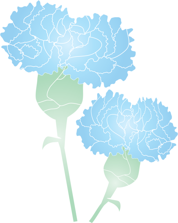 Transparent Mother's Day Leaf Plant Hydrangea for Mother's Day Flower for Mothers Day