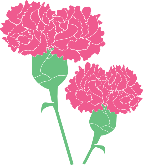 Transparent Mother's Day Carnation Pink Plant for Mother's Day Flower for Mothers Day