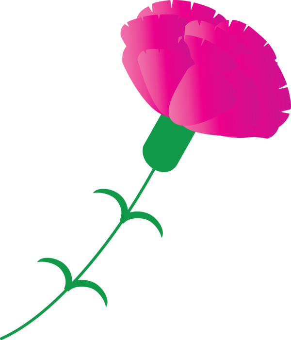 Transparent Mother's Day Pink Flower Pedicel for Mother's Day Flower for Mothers Day