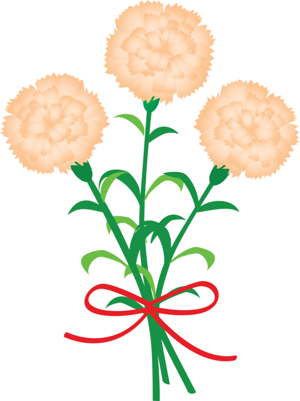 Transparent Mother's Day Tagetes Flower Plant for Mother's Day Flower for Mothers Day