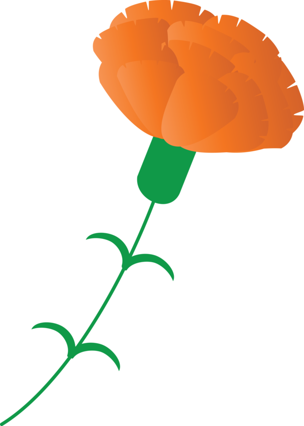 Transparent Mother's Day Orange Plant stem Leaf for Mother's Day Flower for Mothers Day
