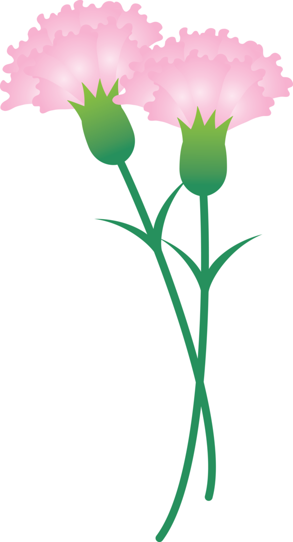 Transparent Mother's Day Flower Plant Pedicel for Mother's Day Flower for Mothers Day