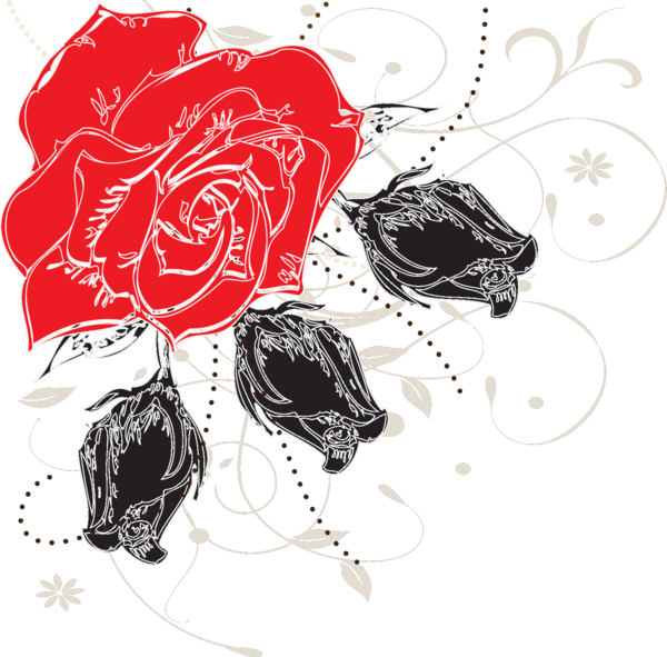 Transparent Valentine's Day Drawing Design Pattern for Rose for Valentines Day