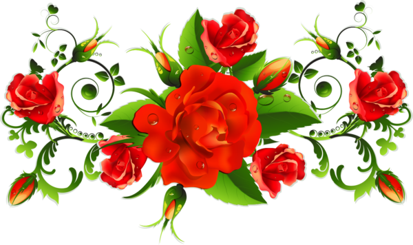 Transparent Valentine's Day Flower Red Cut flowers for Rose for Valentines Day