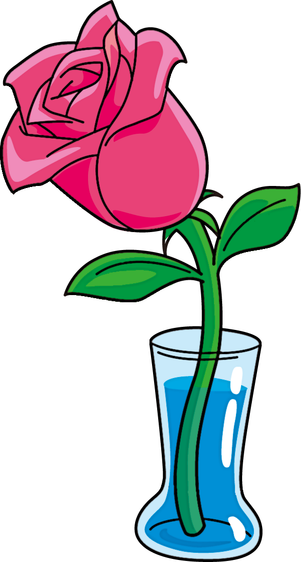 Transparent Valentine's Day Flower Pink Plant for Rose for Valentines Day