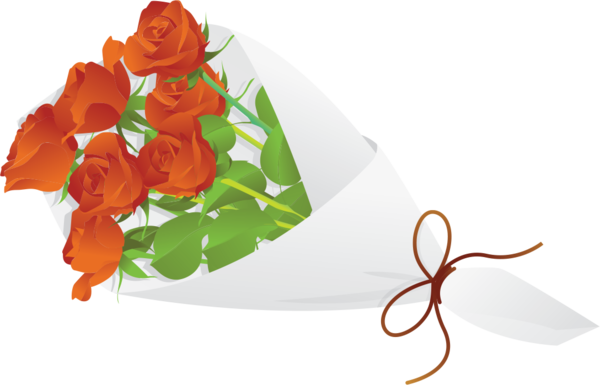 Transparent Valentine's Day Orange Flower Rose for Rose for Valentines Day