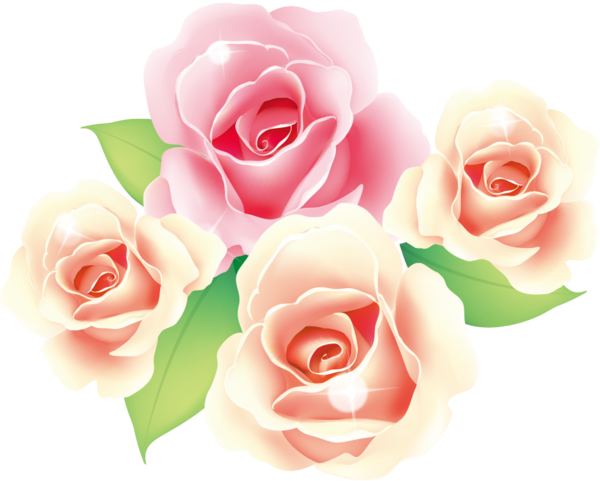 Transparent Valentine's Day Garden roses Rose Pink for Rose for Valentines Day