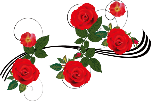 Transparent Valentine's Day Flower Red Cut flowers for Rose for Valentines Day