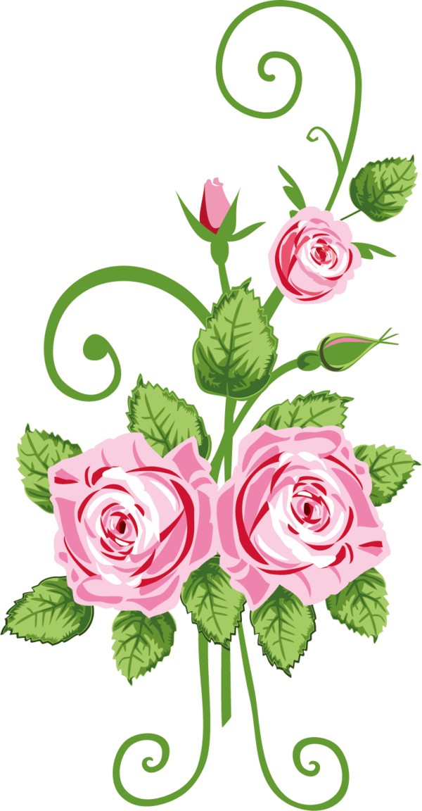 Transparent Valentine's Day Flower Cut flowers Pink for Rose for Valentines Day