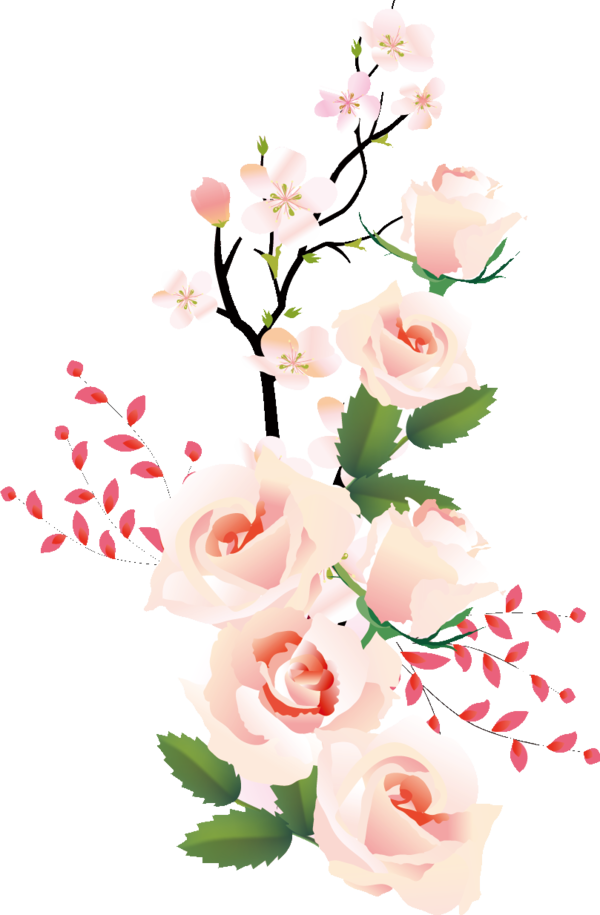 Transparent Valentine's Day Flower Pink Garden roses for Rose for Valentines Day