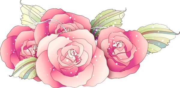Transparent Valentine's Day Pink Garden roses Flower for Rose for Valentines Day