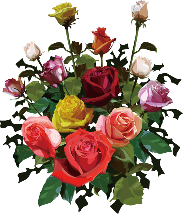 Transparent Valentine's Day Flower Garden roses Rose for Rose for Valentines Day