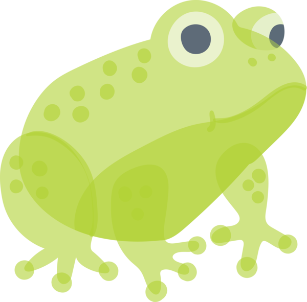 Transparent animals Frog True frog Green for Frog for Animals