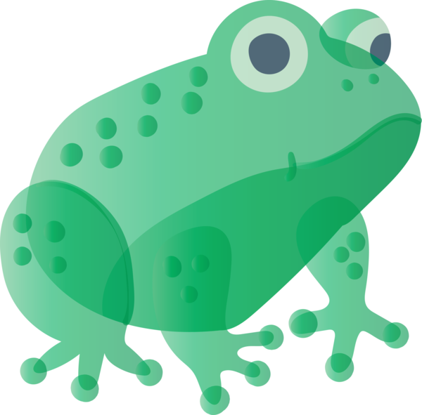 Transparent animals Green Frog True frog for Frog for Animals