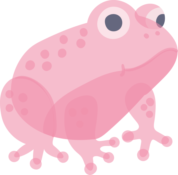 Transparent animals Pink Toad Frog for Frog for Animals