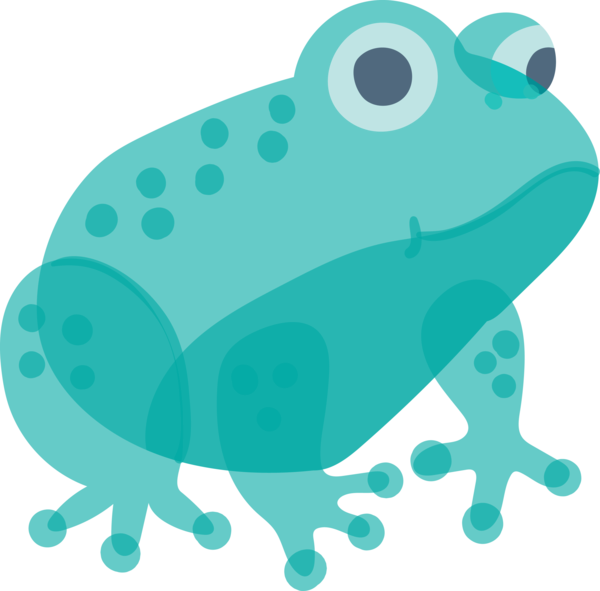 Transparent animals True frog Frog Toad for Frog for Animals