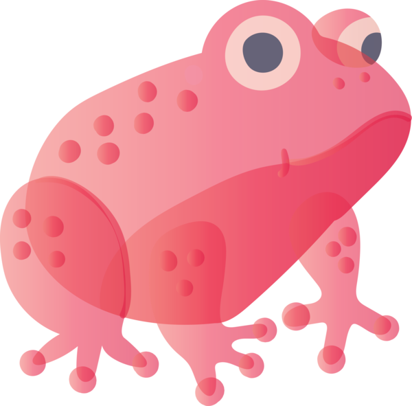Transparent animals Pink Cartoon Frog for Frog for Animals