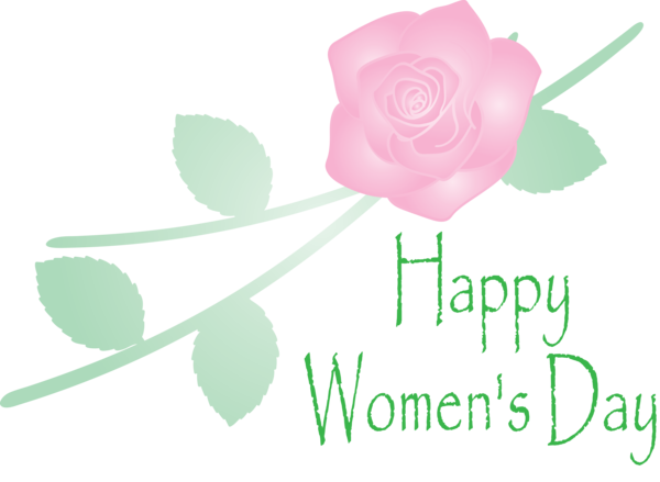 Transparent Women's Day Pink Rose Text for International Women's Day for Womens Day