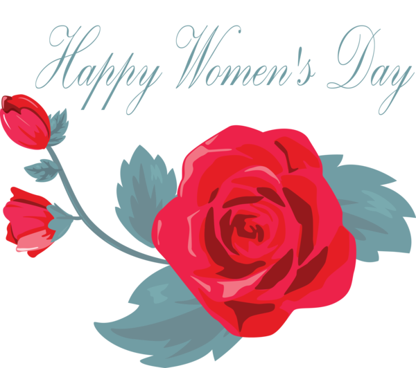 Transparent Women's Day Flower Garden roses Rose for International Women's Day for Womens Day