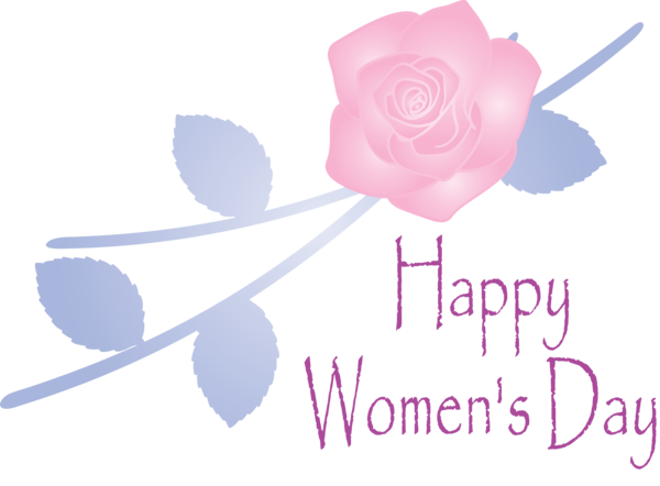 Transparent Women's Day Pink Text Rose for International Women's Day for Womens Day