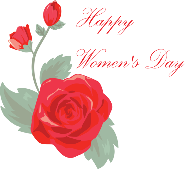 Transparent Women's Day Red Flower Garden roses for International Women's Day for Womens Day
