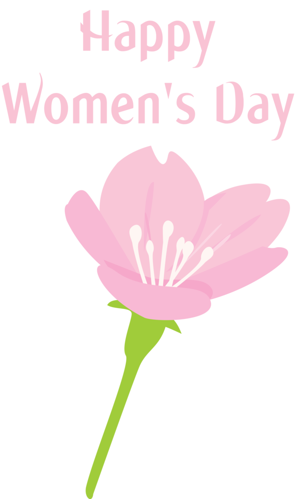 Transparent Women's Day Flower Pink Petal for International Women's Day for Womens Day