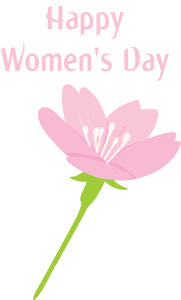 Transparent Women's Day Flower Pink Petal for International Women's Day for Womens Day