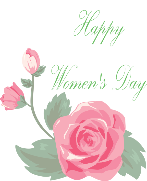 Transparent Women's Day Pink Flower Garden roses for International Women's Day for Womens Day