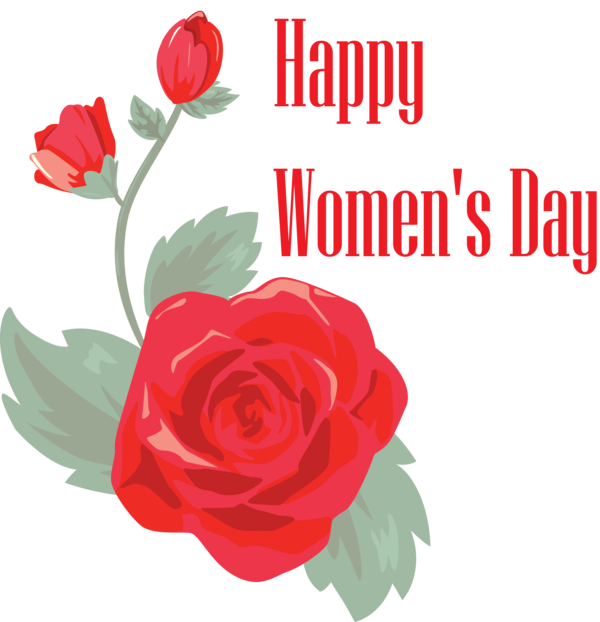 Transparent Women's Day Flower Cut flowers Rose for International Women's Day for Womens Day