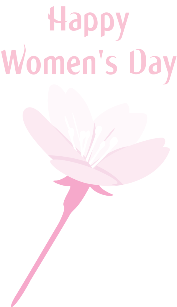 Transparent Women's Day Pink Font Petal for International Women's Day for Womens Day