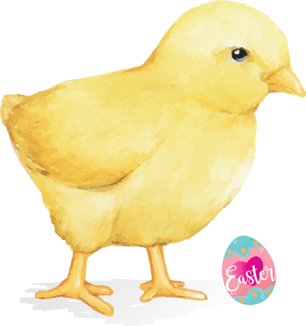 Transparent Easter Bird Chicken Beak for Easter Day for Easter