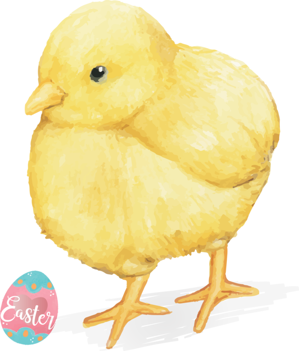 Transparent Easter Chicken Bird Beak for Easter Day for Easter